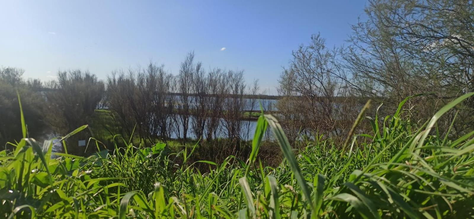 Casa Vacanze Nel Delta Del Po Taglio di Po Exterior foto