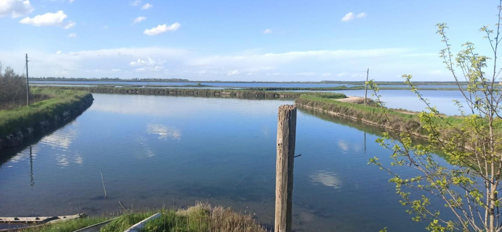 Casa Vacanze Nel Delta Del Po Taglio di Po Exterior foto