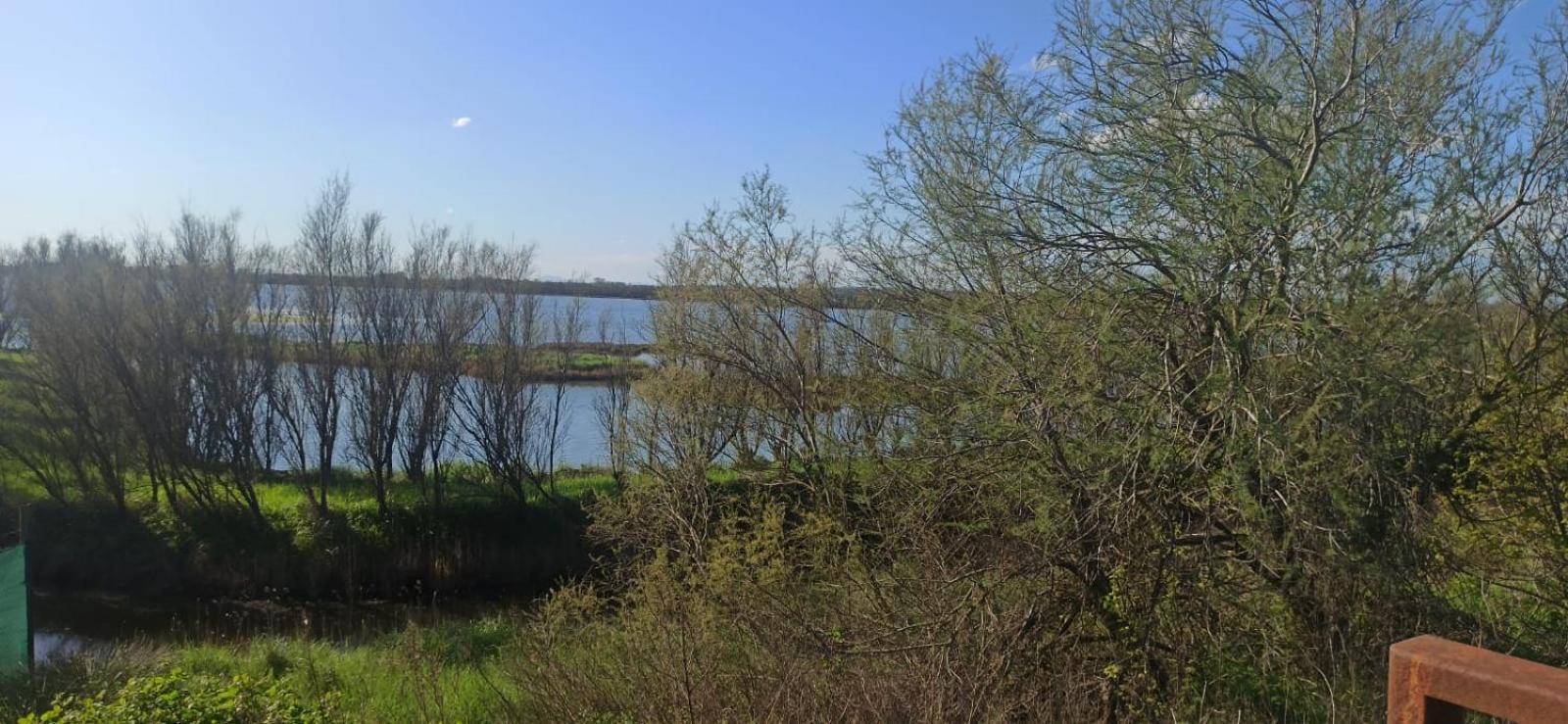 Casa Vacanze Nel Delta Del Po Taglio di Po Exterior foto