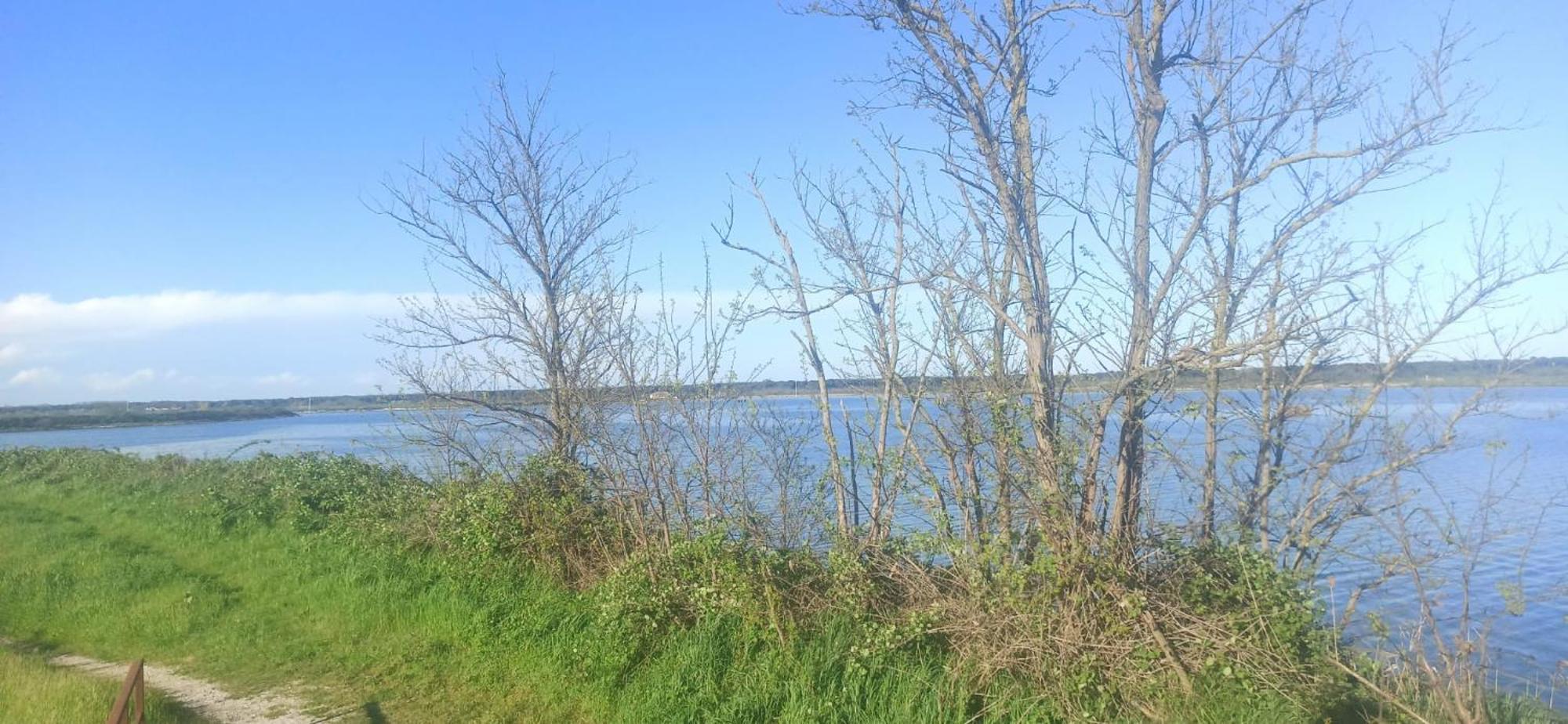 Casa Vacanze Nel Delta Del Po Taglio di Po Exterior foto