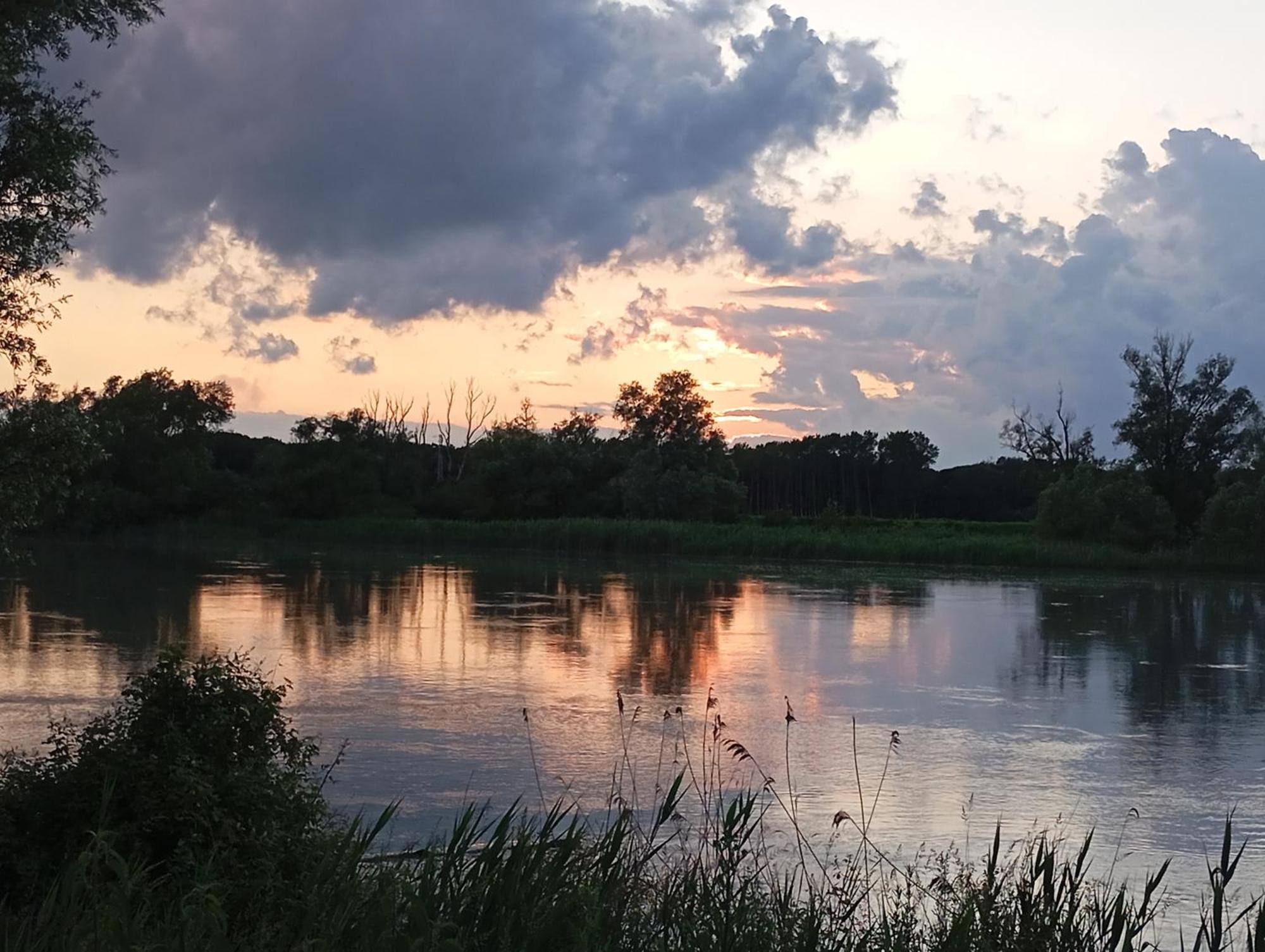 Casa Vacanze Nel Delta Del Po Taglio di Po Exterior foto
